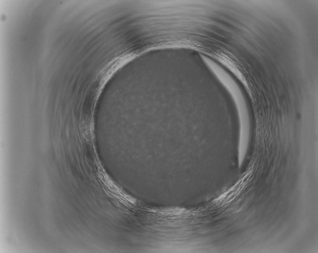 X0000059040797200510171847