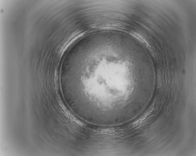 X0000059040798200510171847