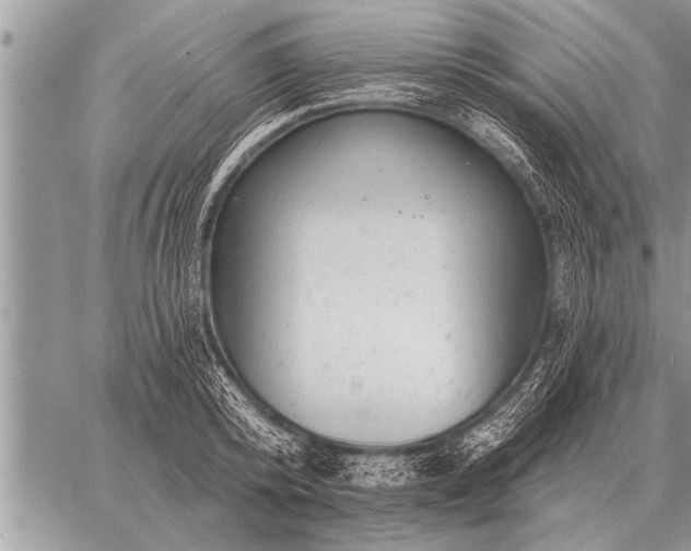 X0000059040800200510171847