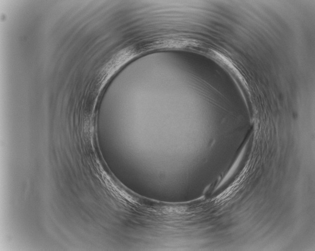 X0000059040802200510171847