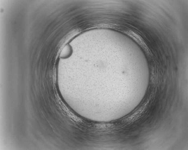 X0000059040804200510171847