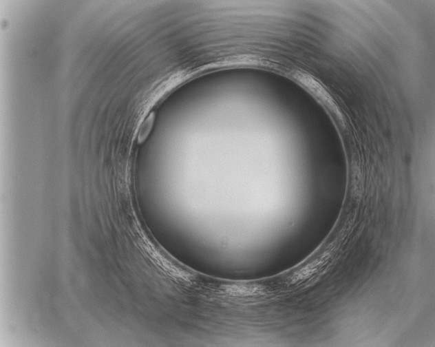 X0000059040805200510171847