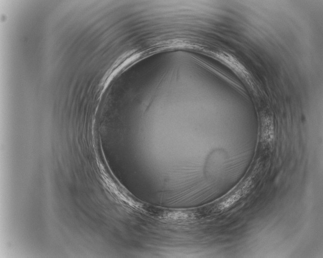 X0000059040806200510171847