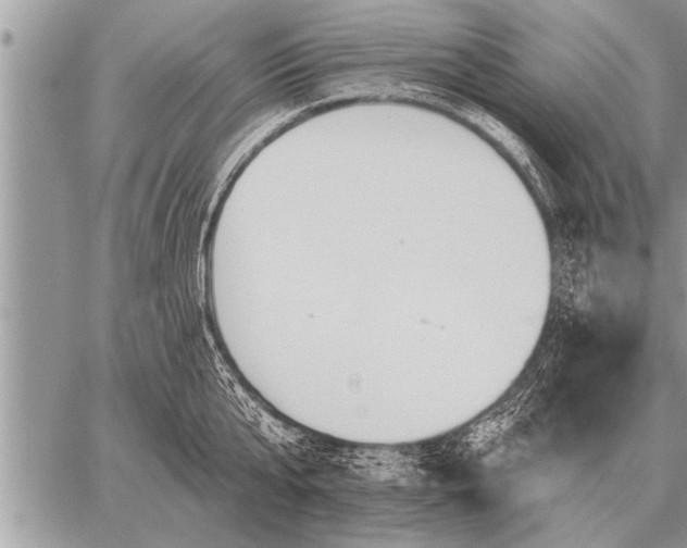 X0000059040807200510171847