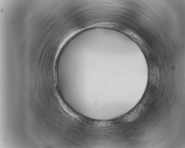 X0000059040808200510171847