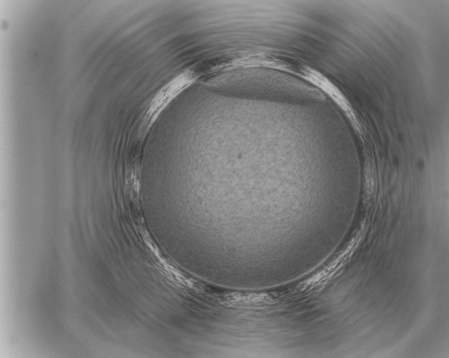 X0000059040809200510171847