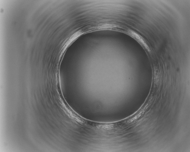 X0000059040810200510171847