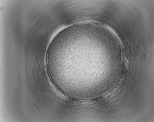 X0000059040811200510171847