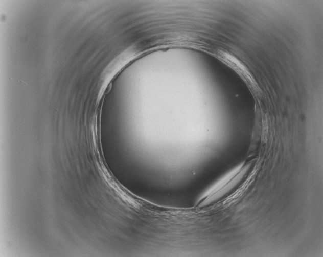 X0000059040812200510171847