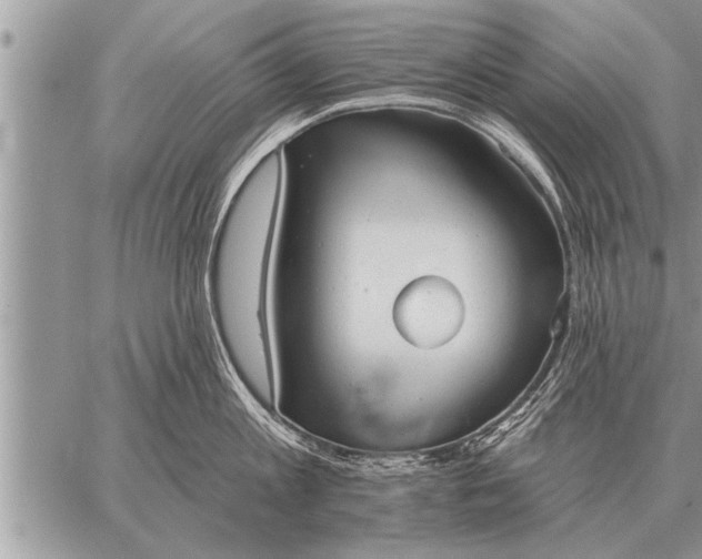 X0000059040813200510171847