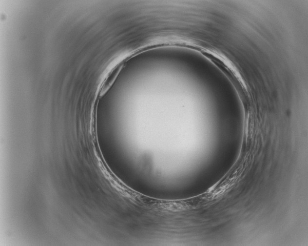 X0000059040815200510171847