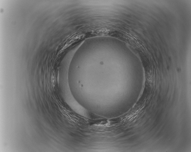 X0000059040818200510171846