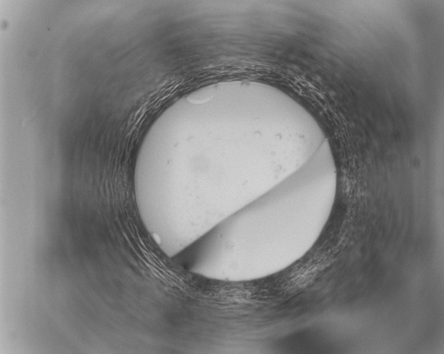 X0000059040820200510171846