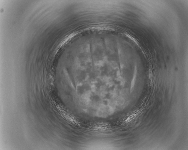 X0000059040823200510171846