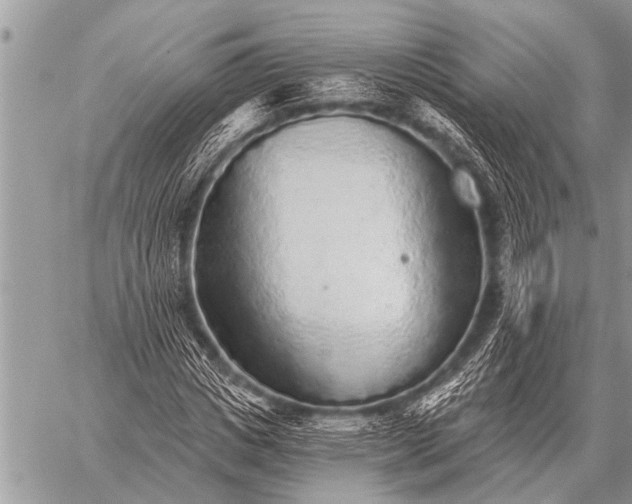 X0000059040825200510171846