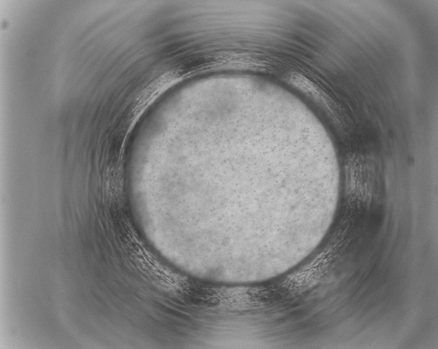 X0000059040828200510171846