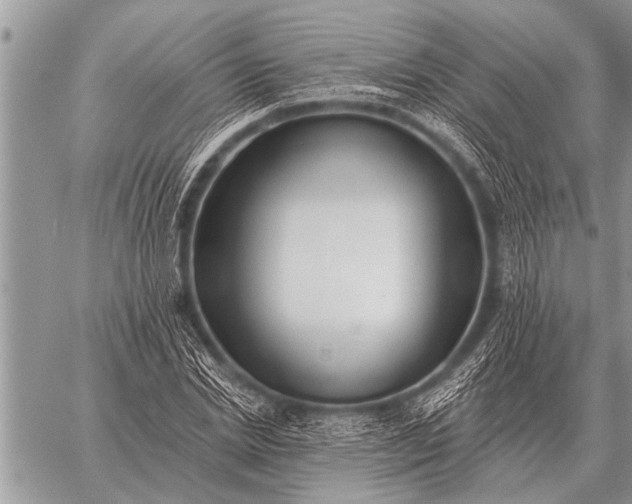 X0000059040830200510171846