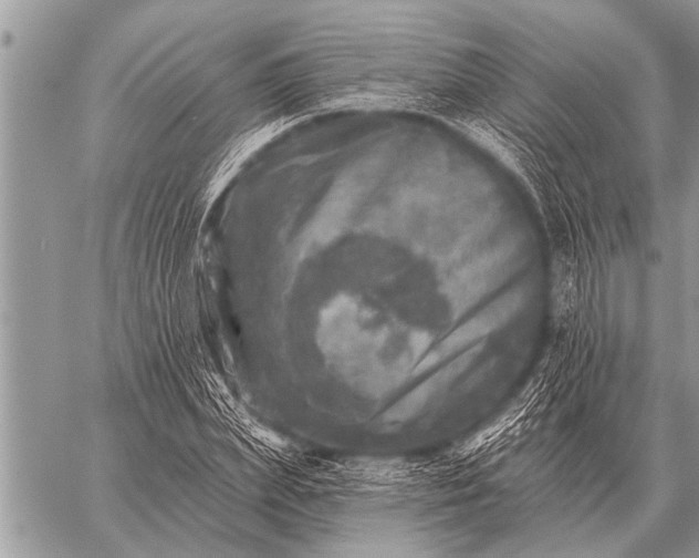 X0000059040831200510171846