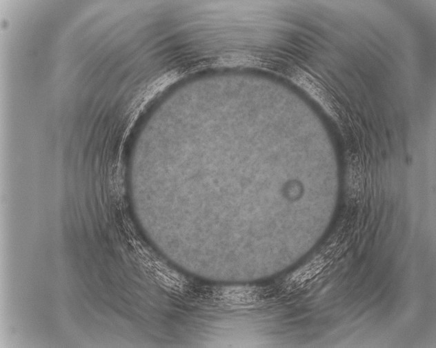 X0000059040832200510171846