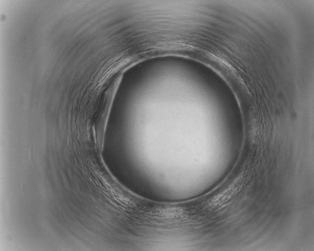 X0000059040833200510171846