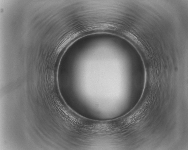 X0000059040834200510171846