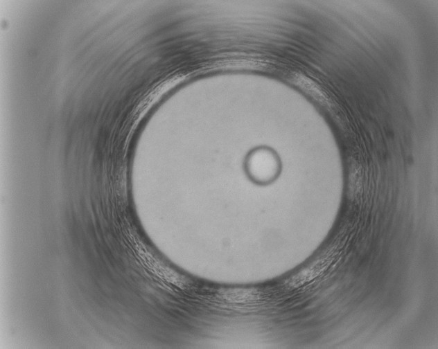 X0000059040836200510171846