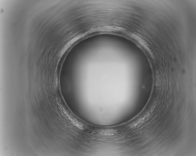 X0000059040837200510171846