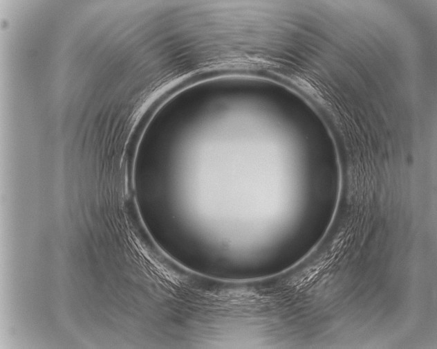 X0000059040838200510171846