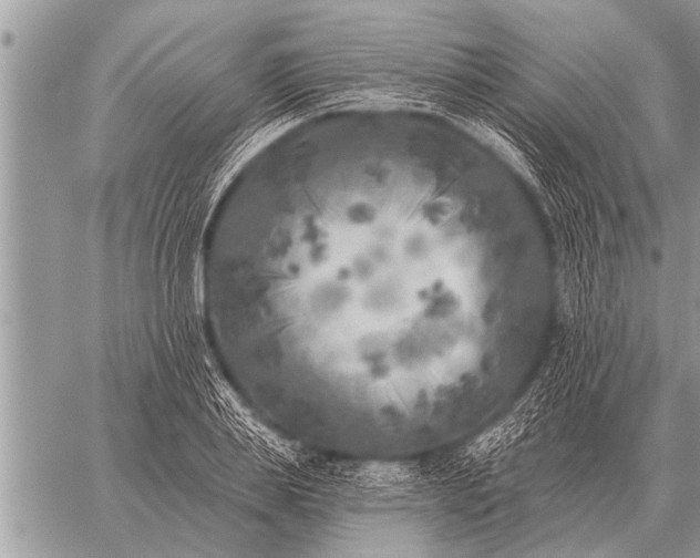 X0000059040839200510171846