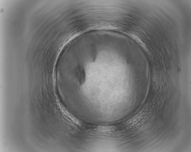 X0000059040840200510171846