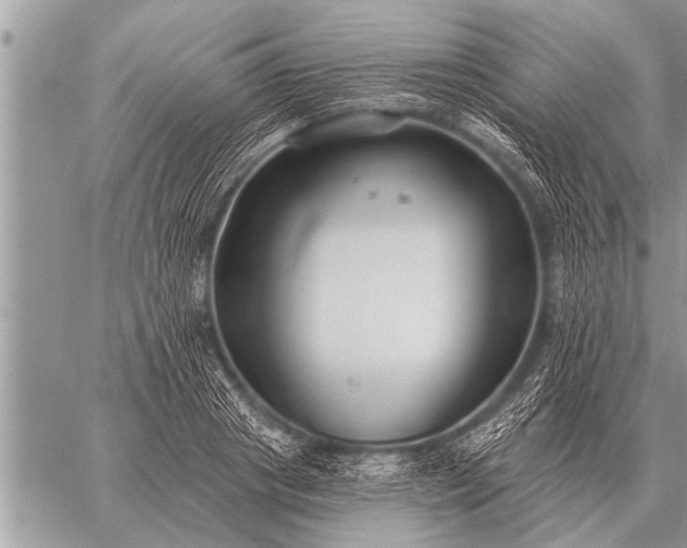 X0000059040841200510171846