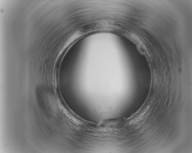 X0000059040843200510171846