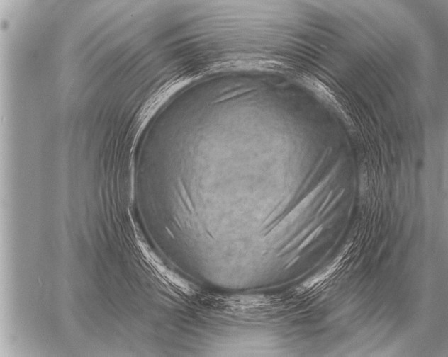 X0000059040844200510171846