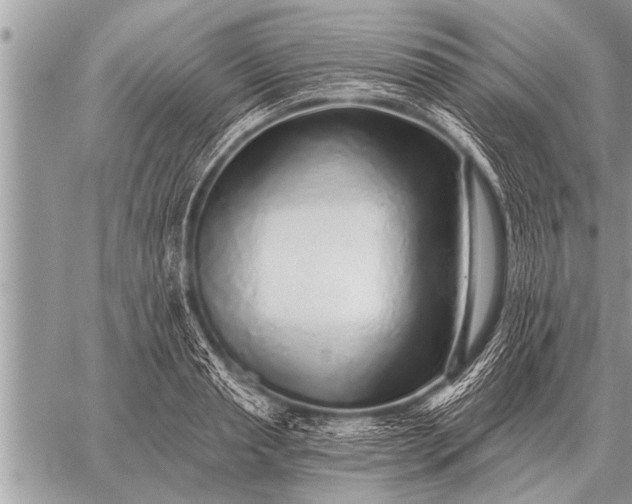 X0000059040845200510171846