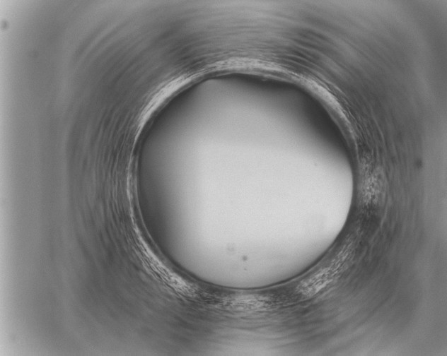 X0000059040847200510171846