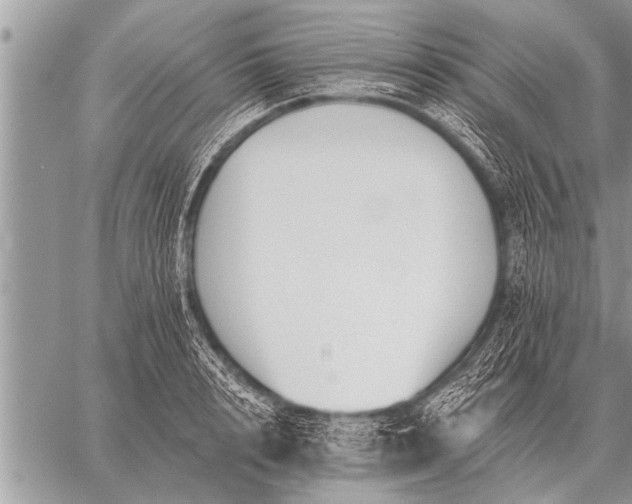 X0000059040848200510171846