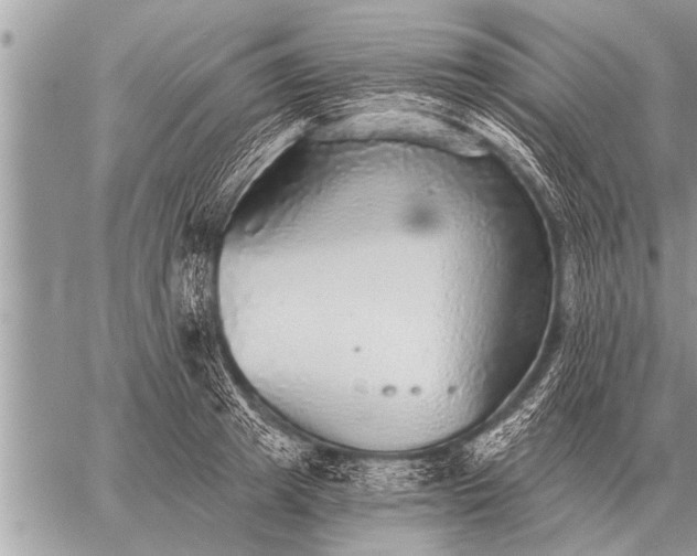 X0000059040849200510171846