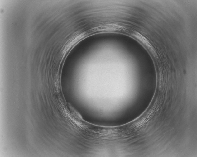 X0000059040850200510171846