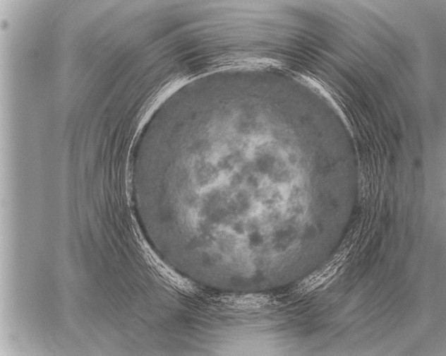 X0000059040851200510171846