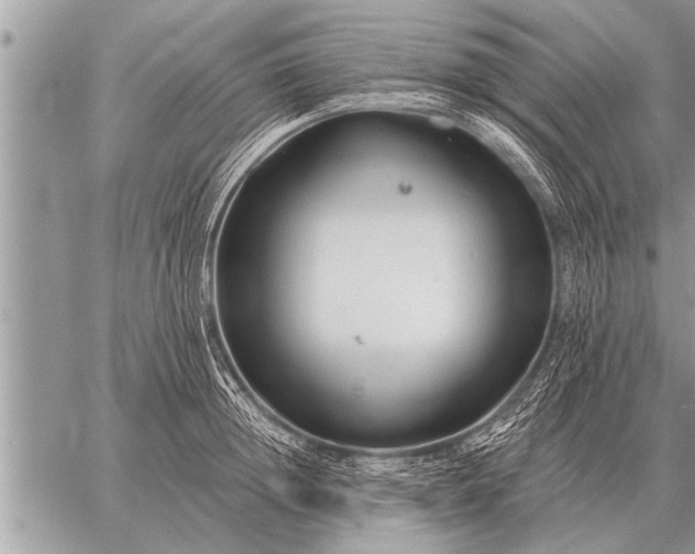 X0000059040852200510171846