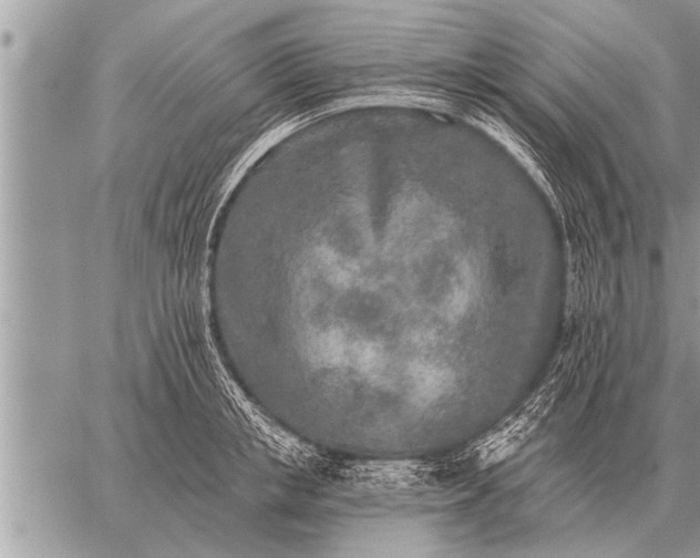 X0000059040853200510171847