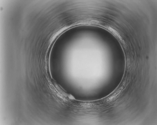 X0000059040854200510171847