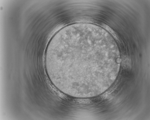 X0000059040856200510171847