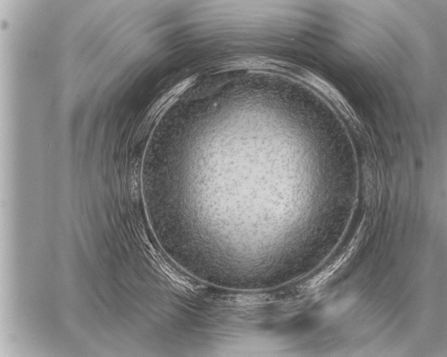 X0000059040857200510171847