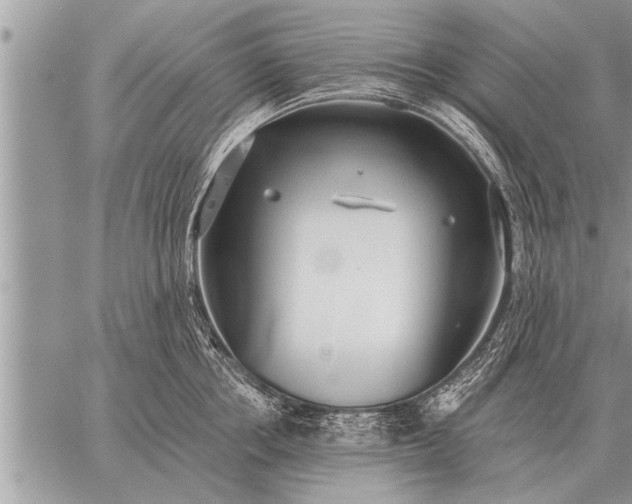 X0000059040858200510171847