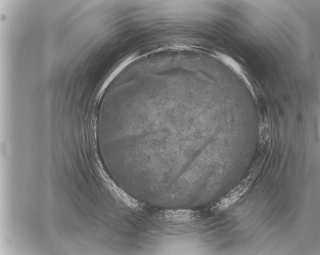 X0000059040859200510171847