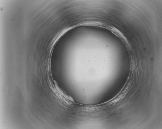 X0000059040860200510171847