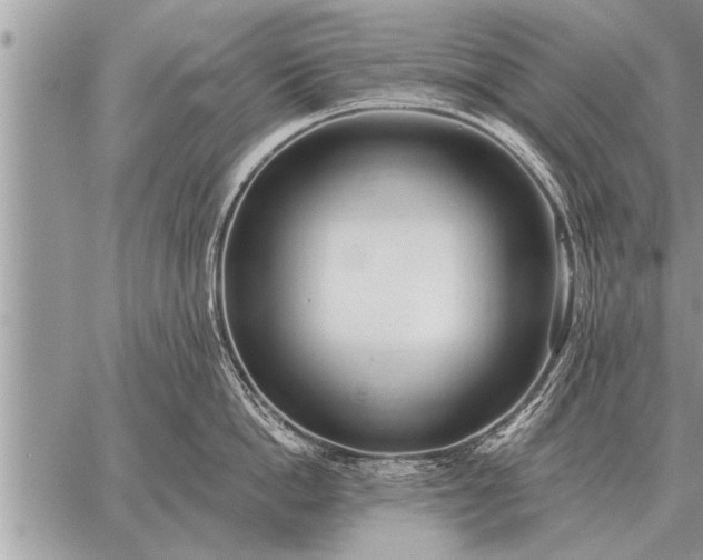 X0000059040862200510171847