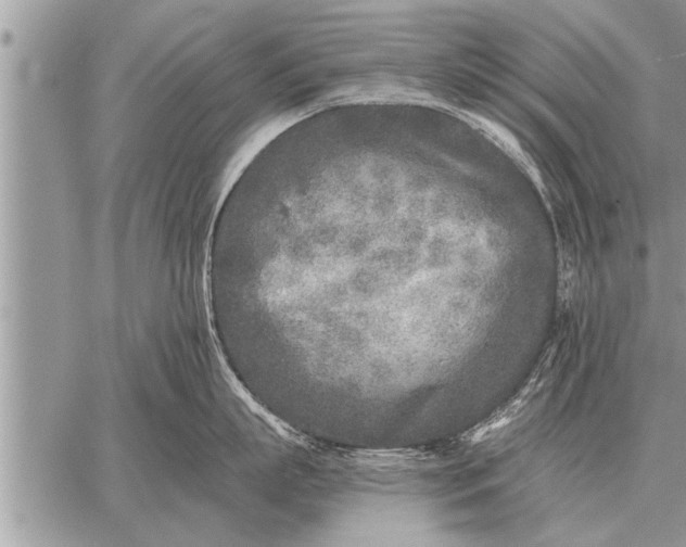 X0000059040863200510171847