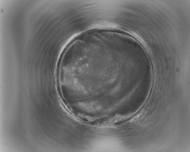 X0000059040864200510171847